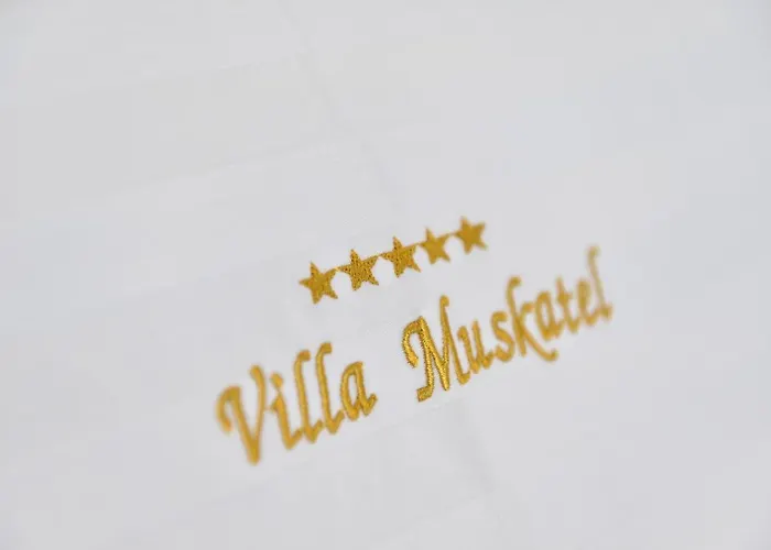 Vila Muskatel Krk -with Heated Covered Pool Brzac